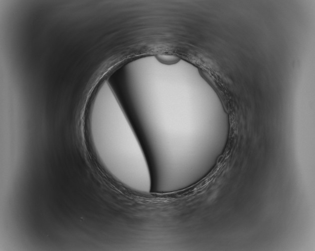 X0000099510242200805151017