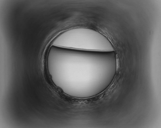 X0000099510243200805151017