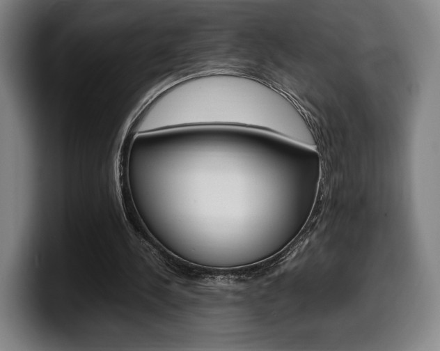 X0000099510244200805151017