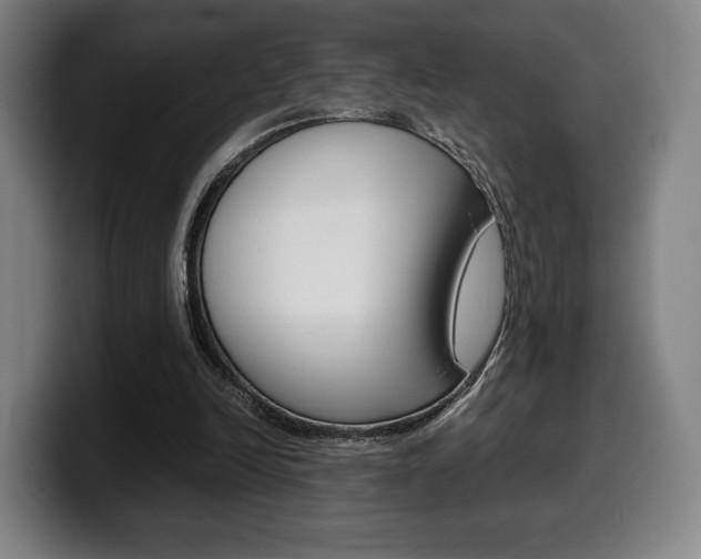X0000099510246200805151017