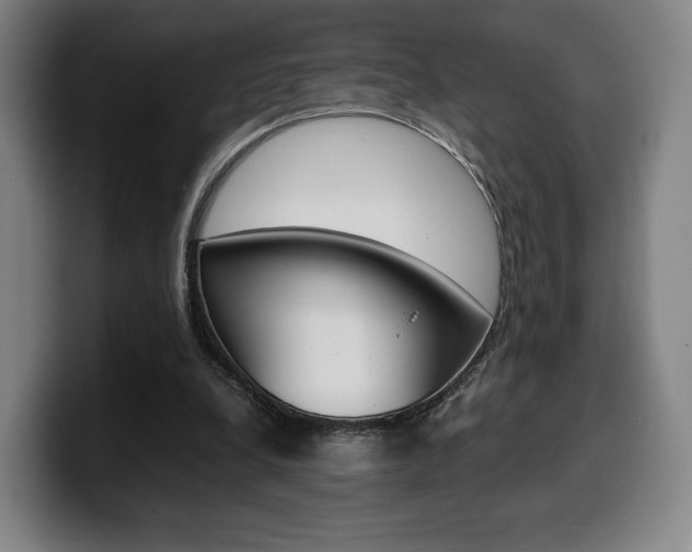 X0000099510248200805151017
