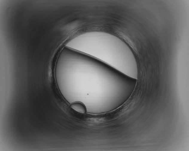 X0000099510251200805151017