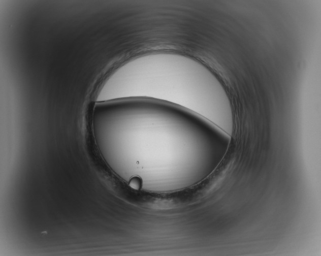 X0000099510256200805151017