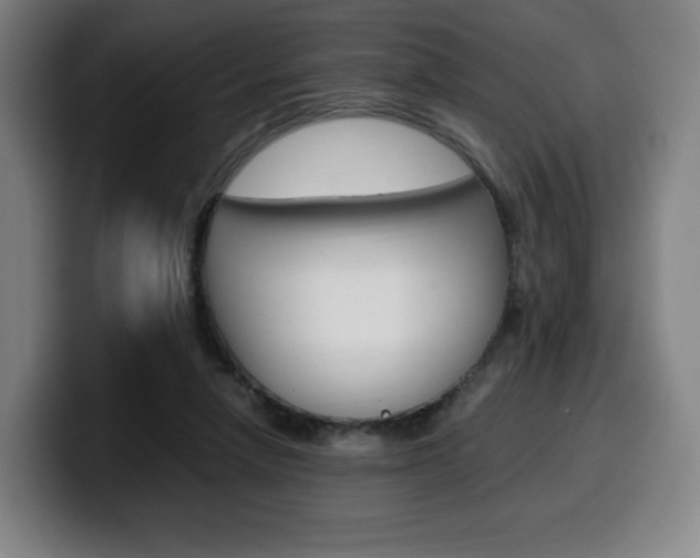 X0000099510258200805151017