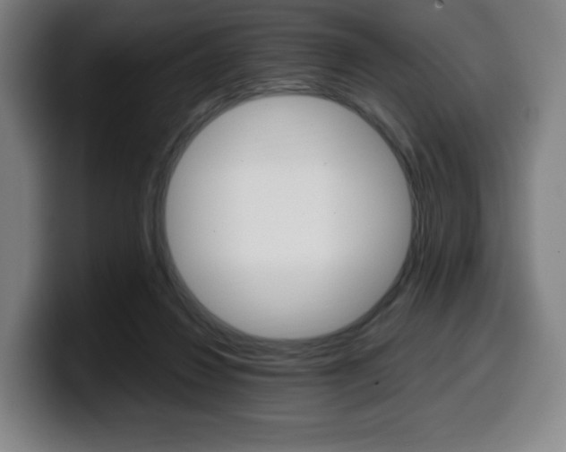 X0000099510260200805151017