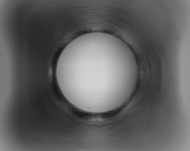 X0000099510262200805151017