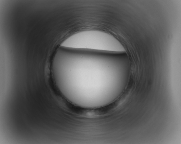 X0000099510264200805151017
