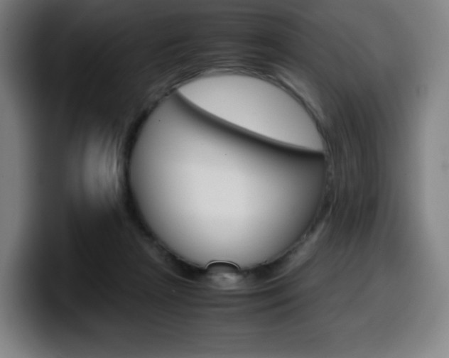 X0000099510265200805151017