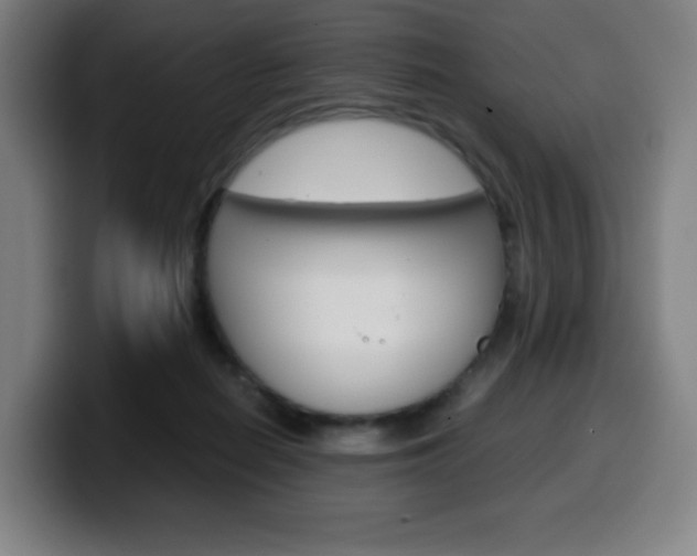 X0000099510266200805151017