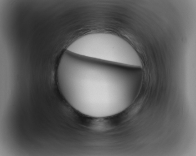 X0000099510269200805151017