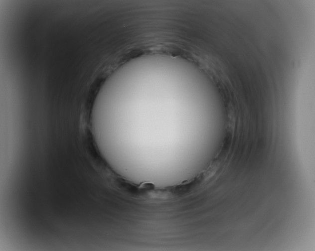 X0000099510272200805151017