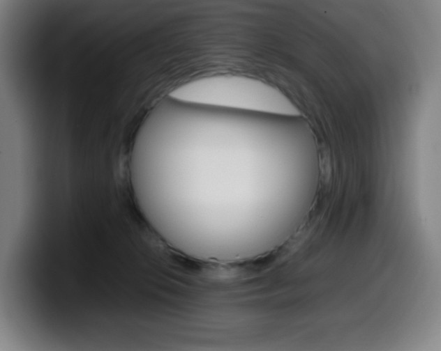 X0000099510276200805151017