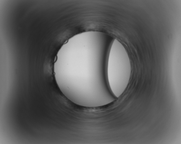 X0000099510282200805151017