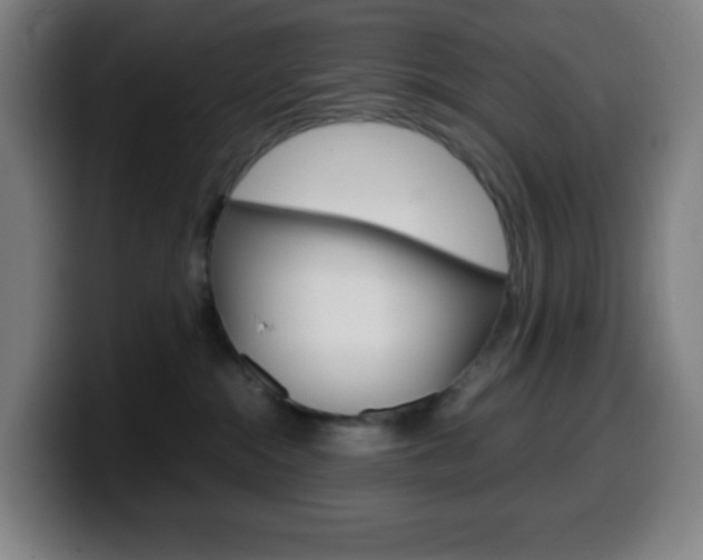 X0000099510284200805151017