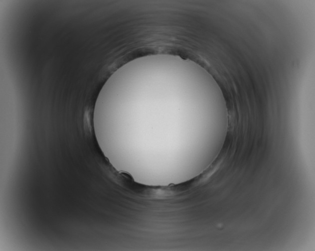 X0000099510286200805151017