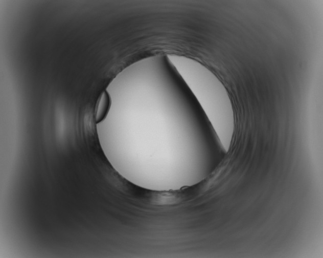 X0000099510287200805151017