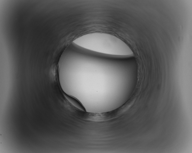 X0000099510288200805151017