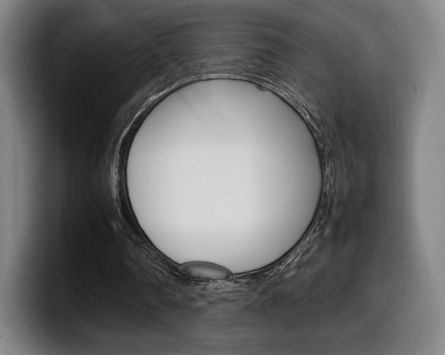 X0000099510290200805151017