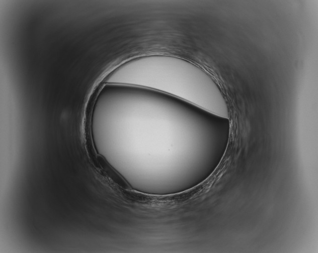 X0000099510292200805151017