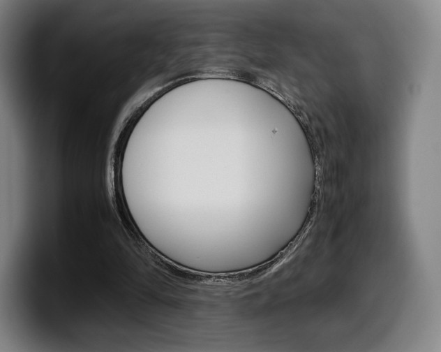 X0000099510294200805151017