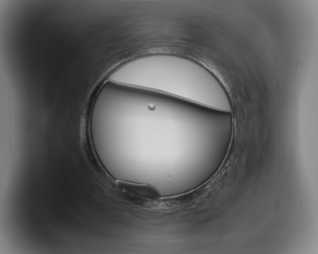 X0000099510297200805151017