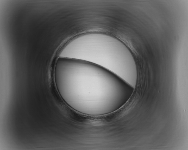X0000099510300200805151017