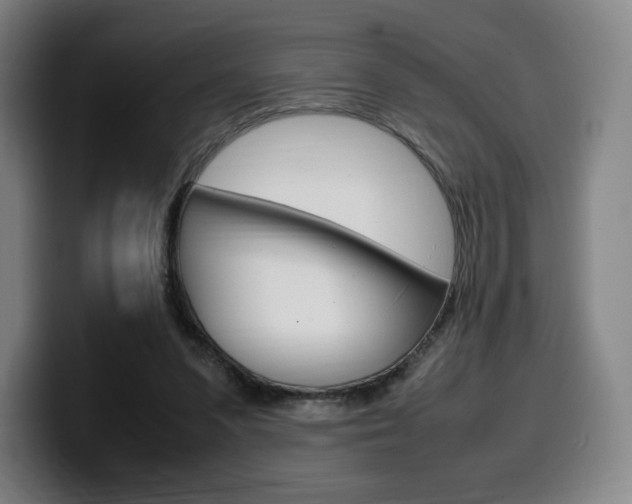 X0000099510303200805151017