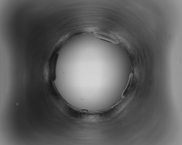 X0000099510304200805151017