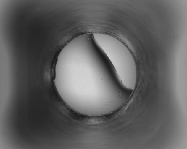X0000099510305200805151017