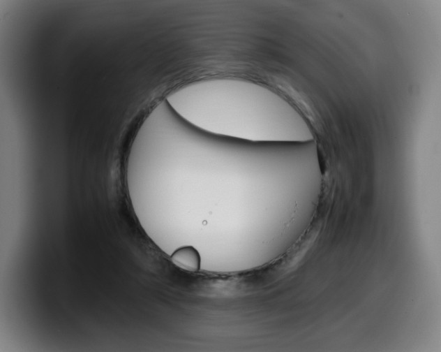 X0000099510306200805151017