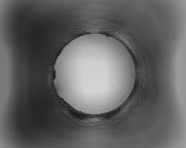 X0000099510307200805151017