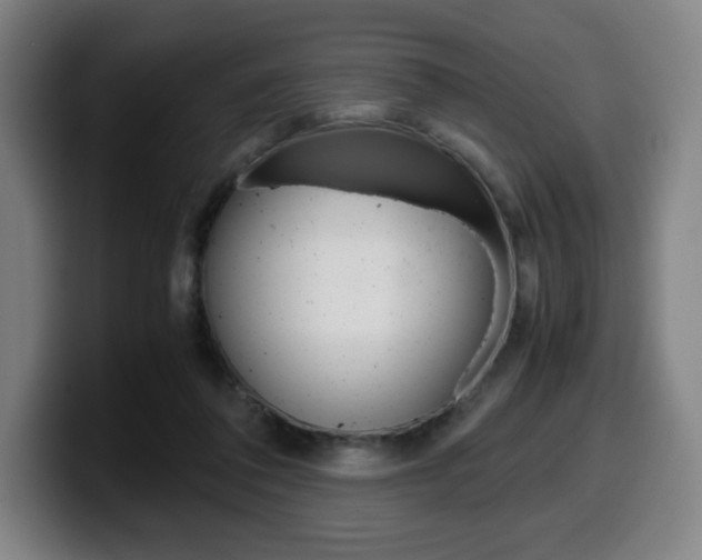 X0000099510308200805151016