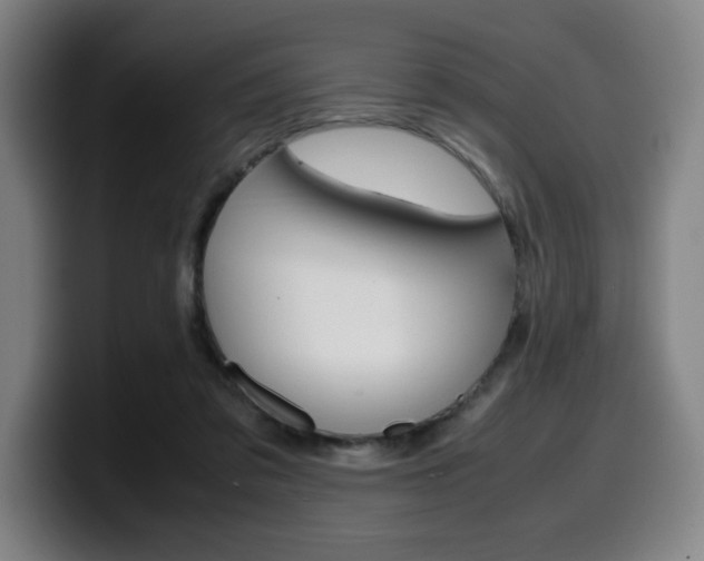 X0000099510309200805151016