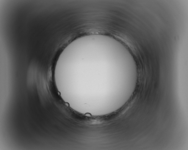X0000099510310200805151016