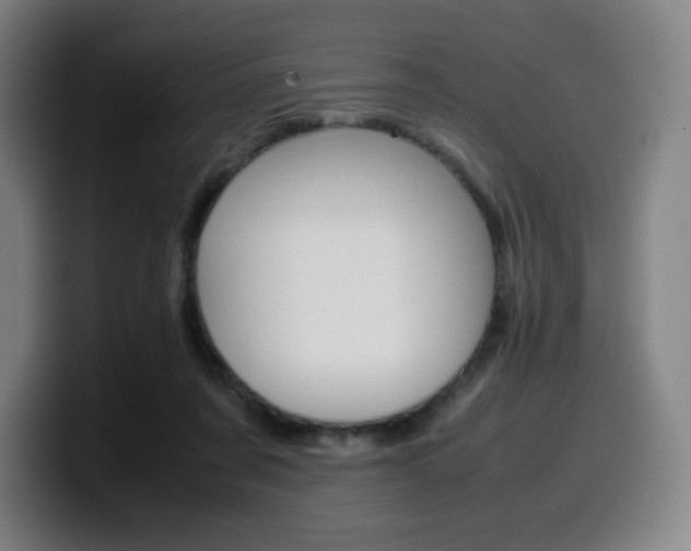 X0000099510311200805151016