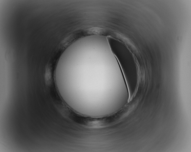 X0000099510312200805151016