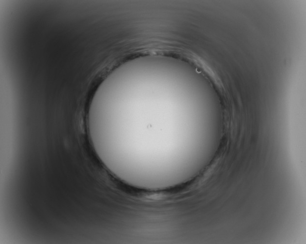 X0000099510313200805151016