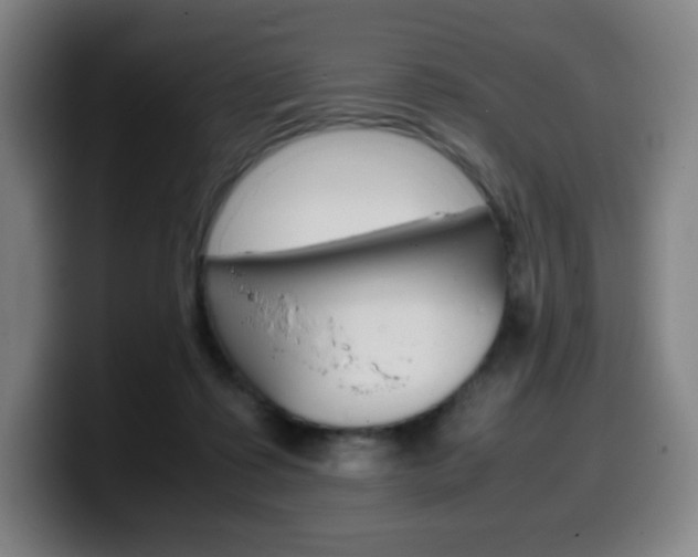 X0000099510315200805151016