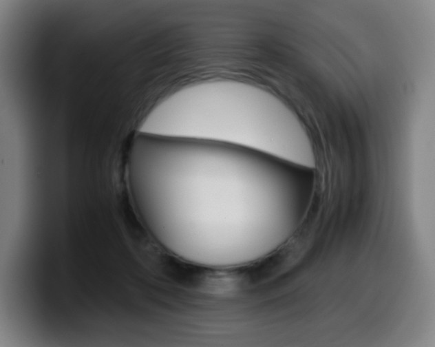 X0000099510316200805151016