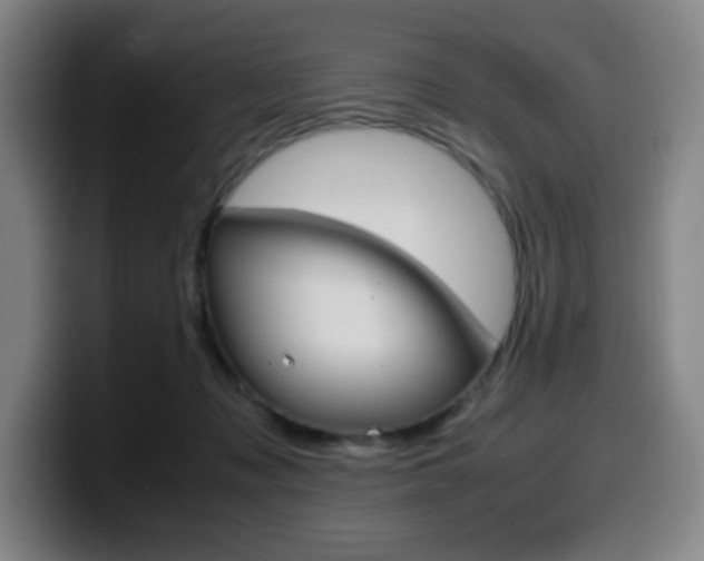 X0000099510317200805151016