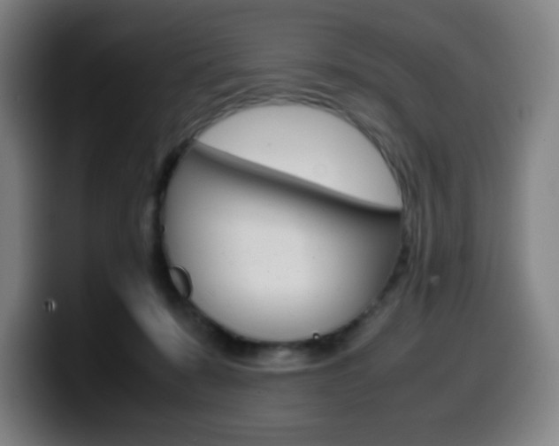 X0000099510319200805151016