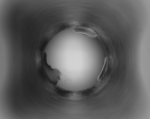 X0000099510320200805151016