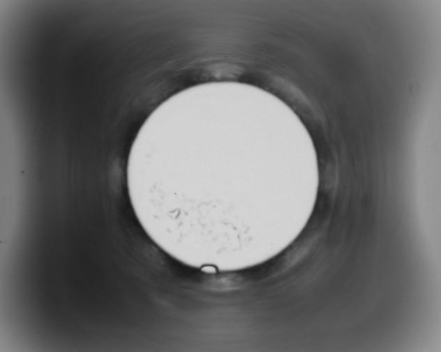 X0000099510321200805151016