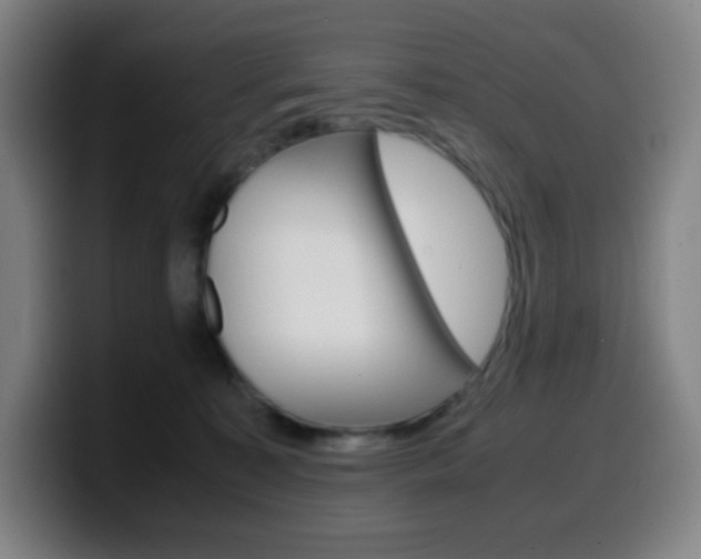 X0000099510323200805151016
