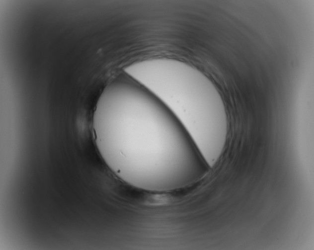 X0000099510324200805151016