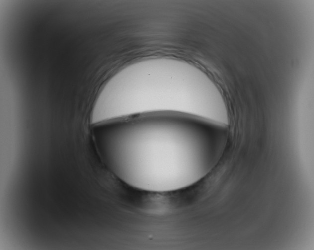 X0000099510325200805151016