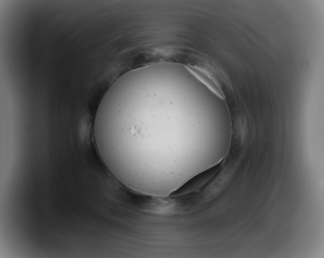X0000099510328200805151016