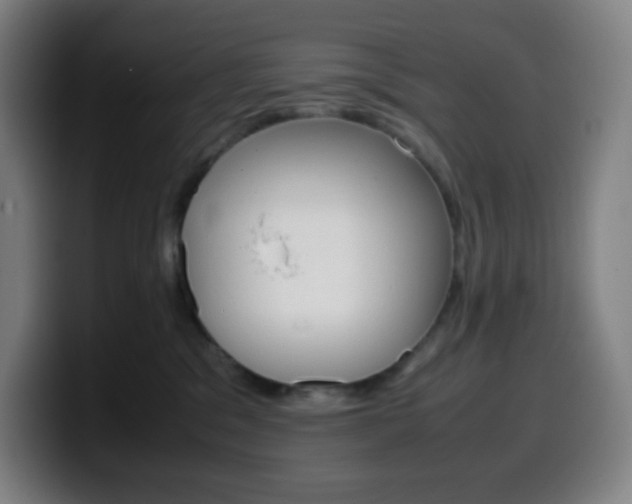 X0000099510329200805151016