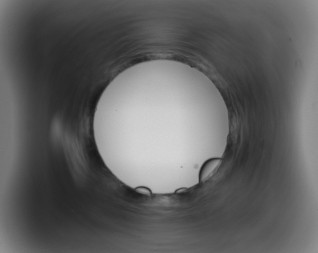 X0000099510330200805151016