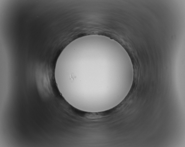 X0000099510331200805151016